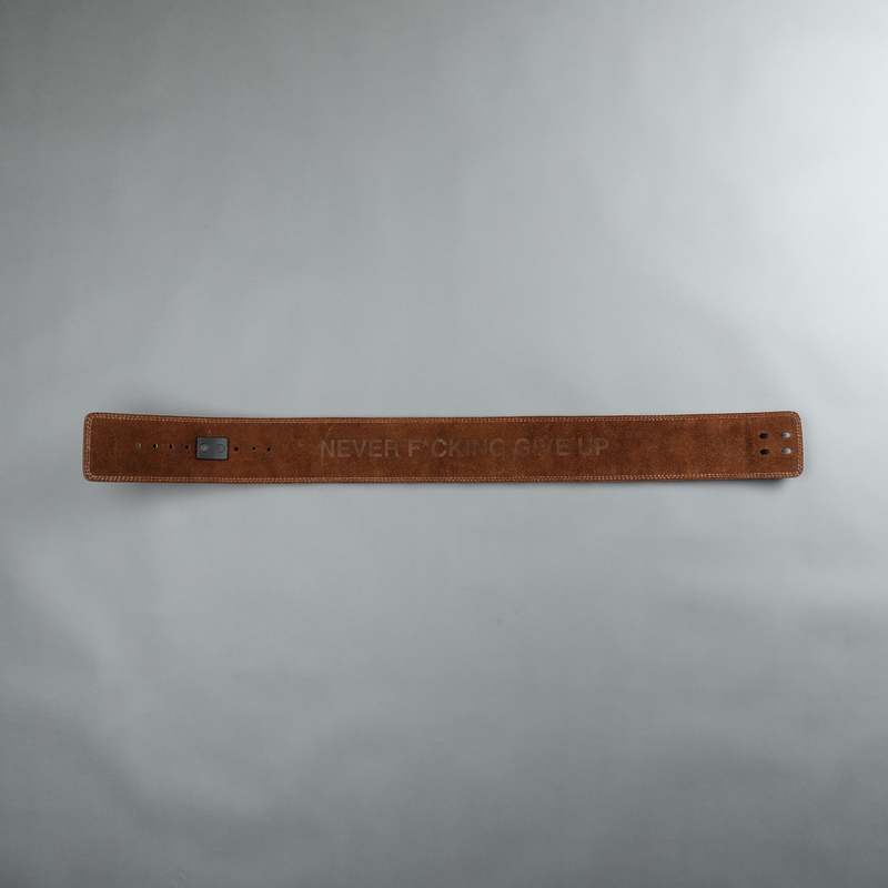 Darc Sport Iron Shield Strap Weight Belt Hnědé | 32569YJLA
